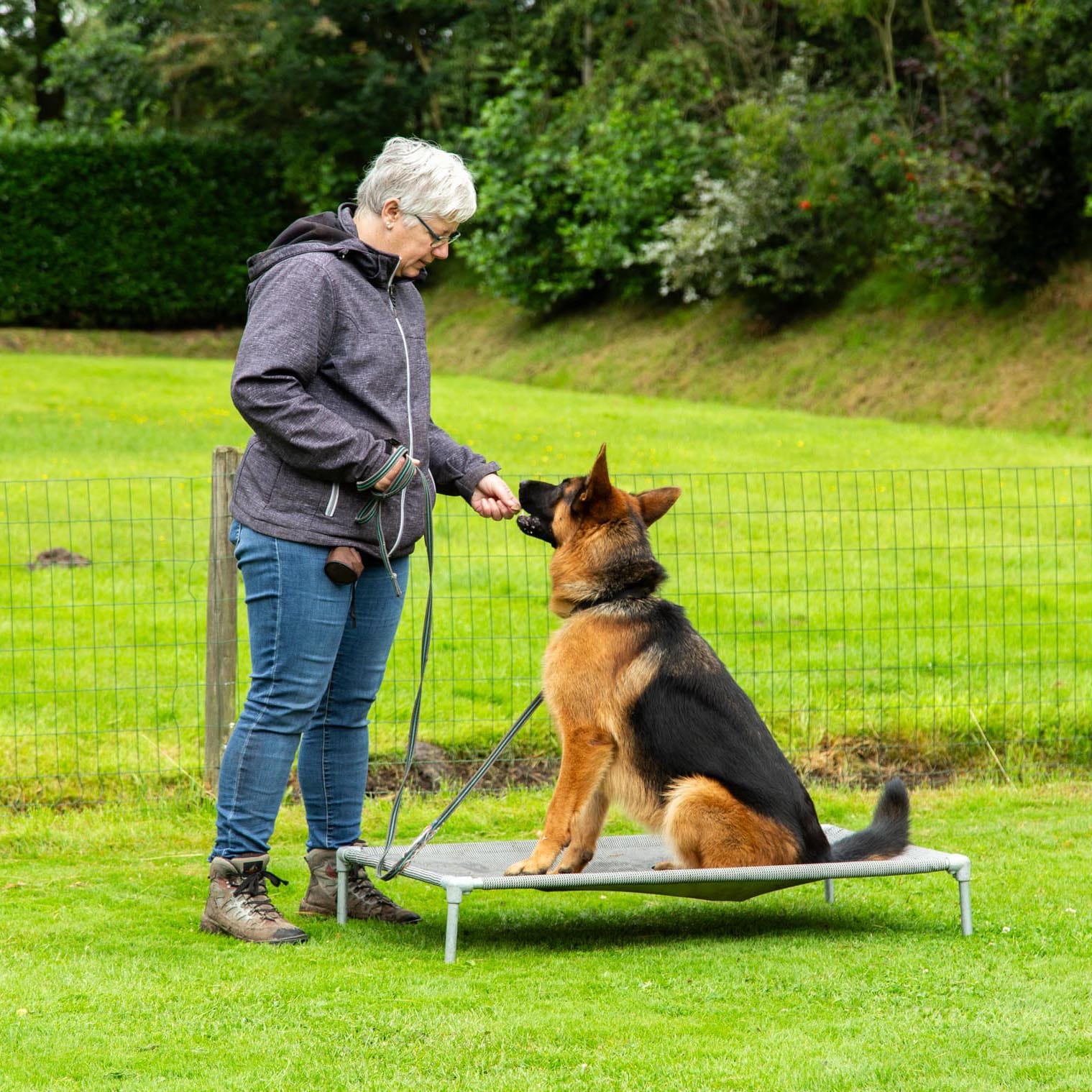 HondenschoolMartine_ 1