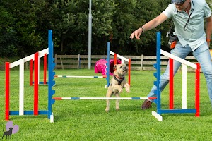 Hondenschool Martine plaats foto